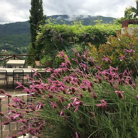 Отель Agriturismo Braccicorti Пьеве-Фошиана Экстерьер фото