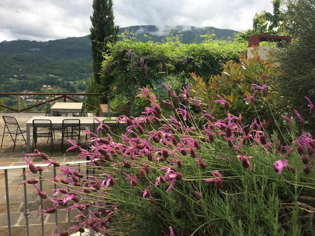 Отель Agriturismo Braccicorti Пьеве-Фошиана Экстерьер фото