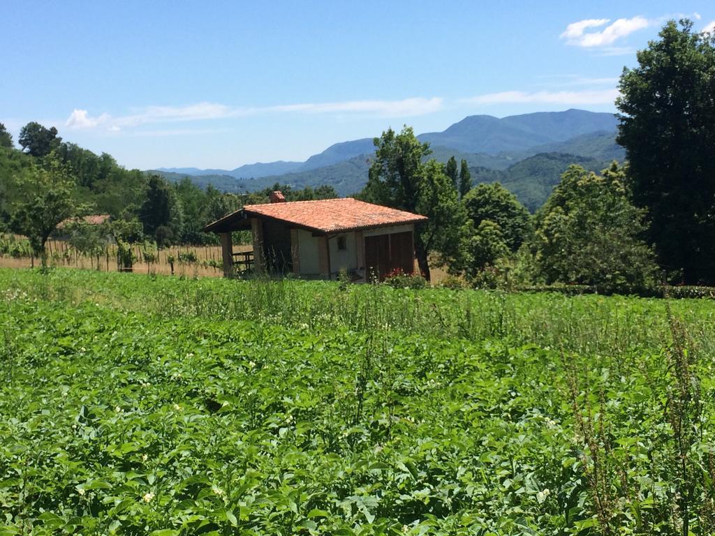 Отель Agriturismo Braccicorti Пьеве-Фошиана Экстерьер фото