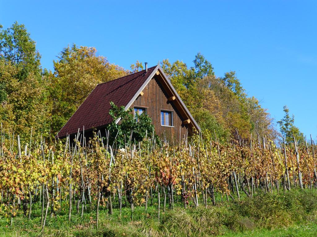 Отель Agriturismo Braccicorti Пьеве-Фошиана Экстерьер фото