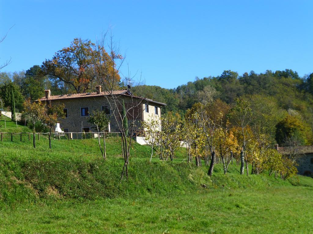 Отель Agriturismo Braccicorti Пьеве-Фошиана Экстерьер фото